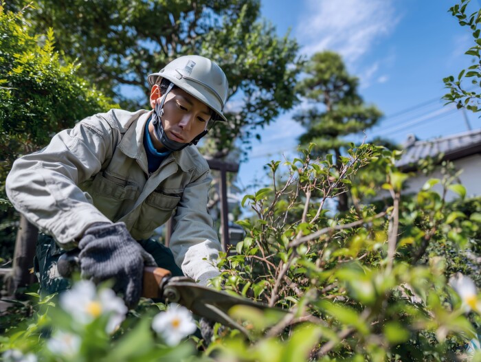 宮崎県都城市で庭木剪定を依頼するベストタイミングは？季節別剪定カレンダーと費用相場
